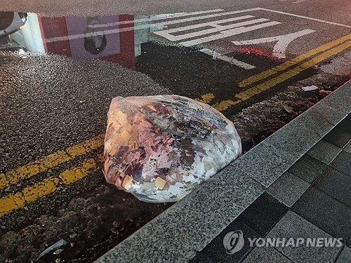 서울 양천구 목동에서 발견된 대남 오물풍선