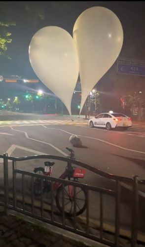 금촌동에 떨어진 대남 풍선