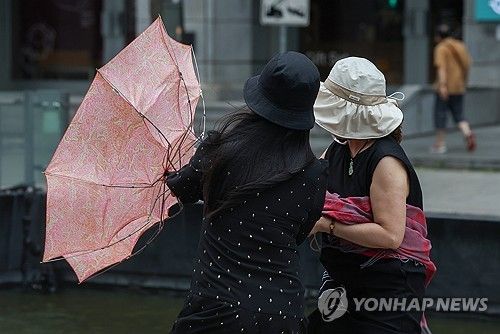 바람에 뒤집힌 우산