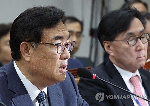 질의에 답하는 정진석 비서실장