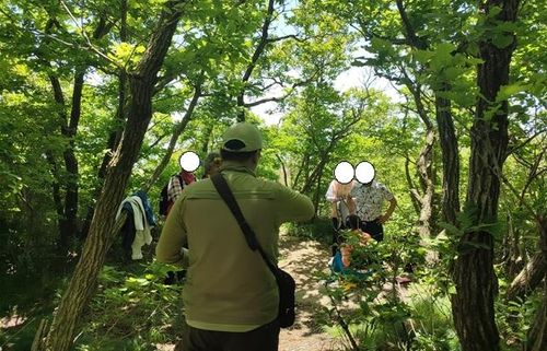 샛길 출입 단속