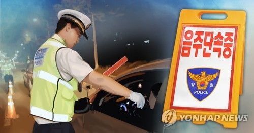 음주 운전 단속 (PG)