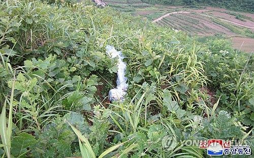 북한이 공개한 대북전단