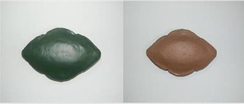 북한 나뭇잎지뢰