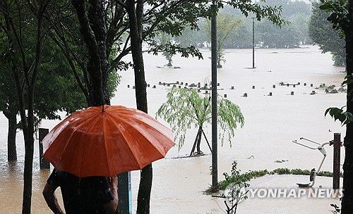 물에 잠긴 오산천 산책로
