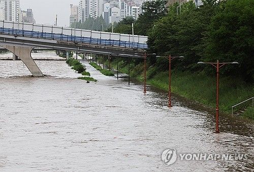 불어난 탄천