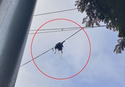 전선에 걸린 북한 쓰레기 풍선