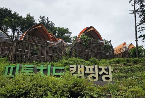 피톤치드 캠핑장