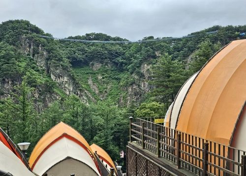 글램핑장에서 바라본 소금산 출렁다리