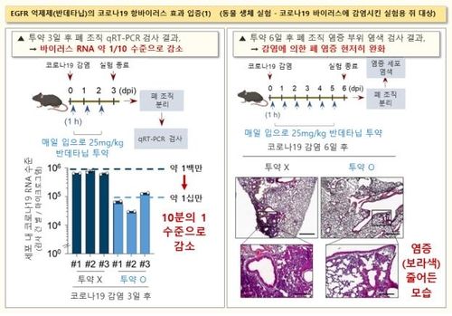 반데타닙의 코로나19 치료 효과 확인