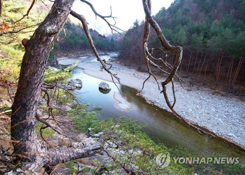 영양 밤하늘·반딧불이공원 장수포천 하류