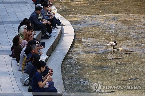 청계천변에서 더위 피하는 시민들
