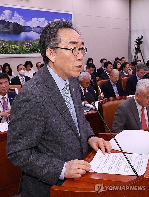 제안 설명하는 조태열 외교부 장관