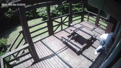 CCTV에 찍힌 상습 털이범 전원주택 침입 장면