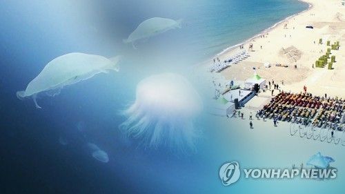 해수욕객 줄었는데… 해파리 쏘임 사고 두 배 증가 (CG)