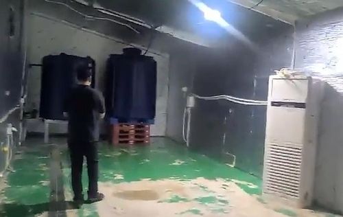 고체 코카인 가공 공장