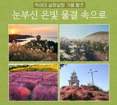 놓치지 말아야 할 제주 관광지