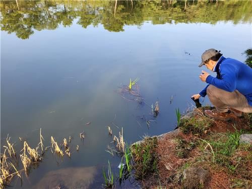 농약 잔류량 검사 모습