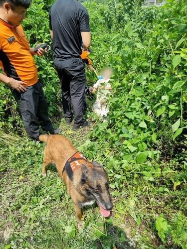 구조견에 의해 풀숲에서 발견된 치매환자 