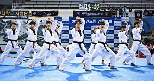  태권도 시범 장면