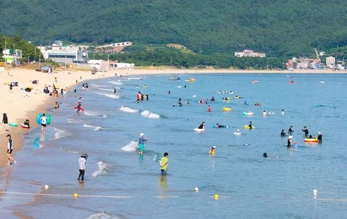 완도 신지 명사십리온 피서객