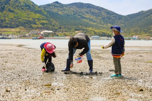 갯벌 체험하는 가족