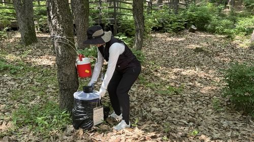 모기 채집기 설치