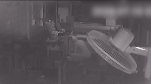 창원 상가 상습 절도 CCTV 장면