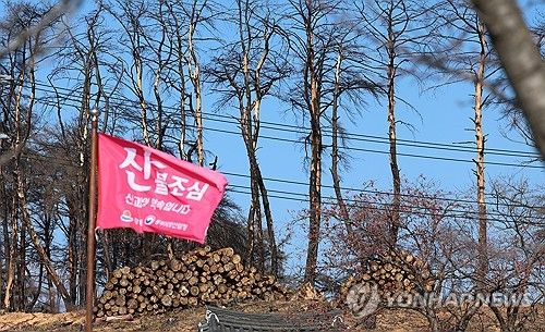 강릉 대형산불지역 산불 조심 깃발