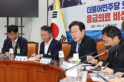 민주당 의료대란 특위 '응급의료 비상사태' 간담회