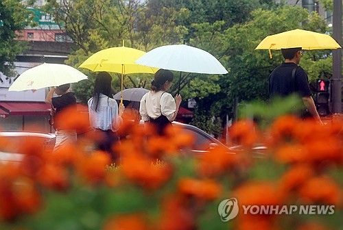 폭염 물리치는 비