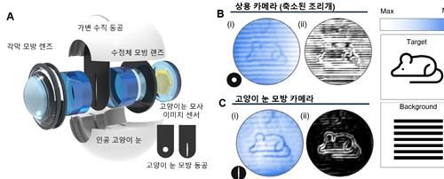 고양이 눈 구조 모방한 카메라 렌즈