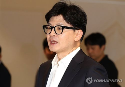 국민의힘 한동훈 대표