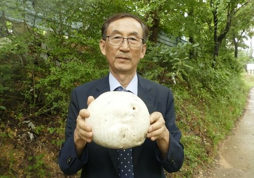 댕구알버섯을 든 조상제 전 범서초등학교 교장