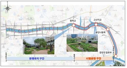 청계천 반려견 출입 허용 시범운영 구간