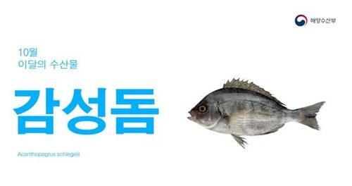 10월 이달의 수산물 감성돔