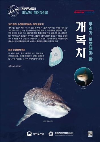 10월 이달의 해양생물 개복치