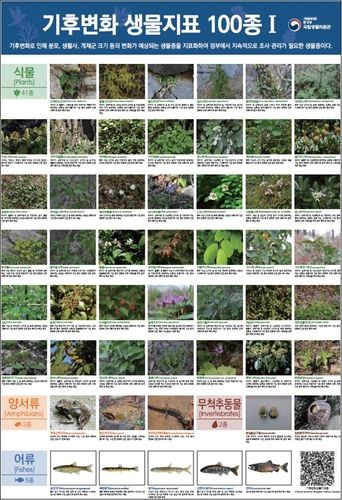 기후변화 생물지표종. [국립생물자원관 제공. 재판매 및 DB 금지]