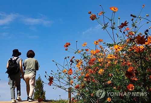 가을 하늘로