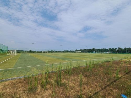 양양군 하조대 축구장
