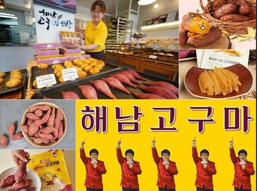 해남고구마 홍보