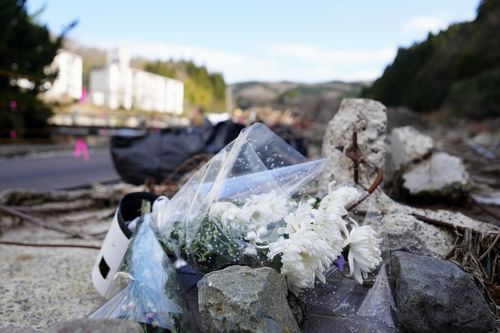 일본 이시카와현 와지마시에 놓인 국화