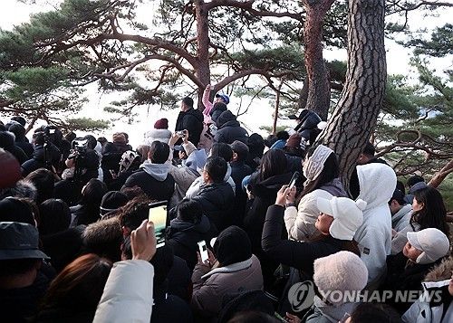 하조대 정자에 모여든 해맞이객들