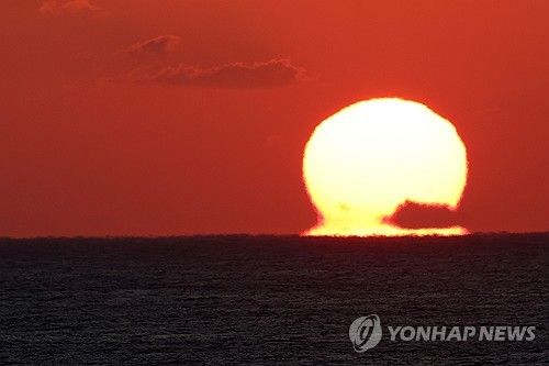 힘차게 떠오르는 을사년 새해