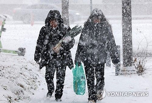 함박눈 내리는 거리