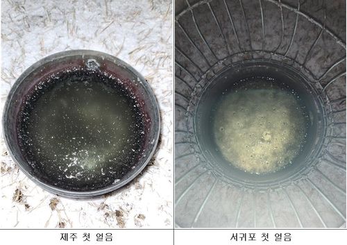 지난 9일 관측된 제주와 서귀포 올겨울 첫얼음