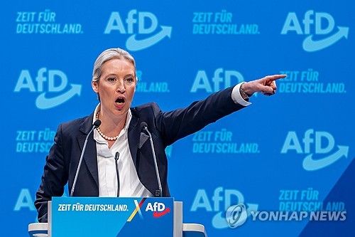 알리스 바이델 AfD 공동대표