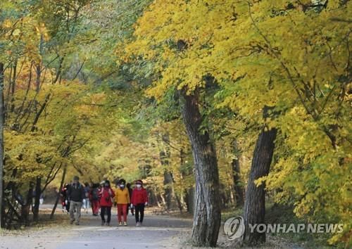지난해 가을 속리산