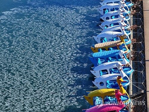 한파에 발 묶인 오리배