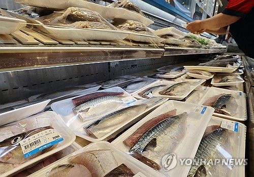 [연합뉴스 자료사진]